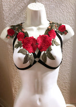 Rose Harness Top and Bottom Set